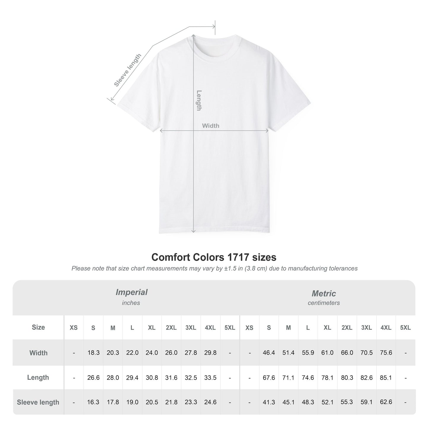 Silly Goose Graphic Tee